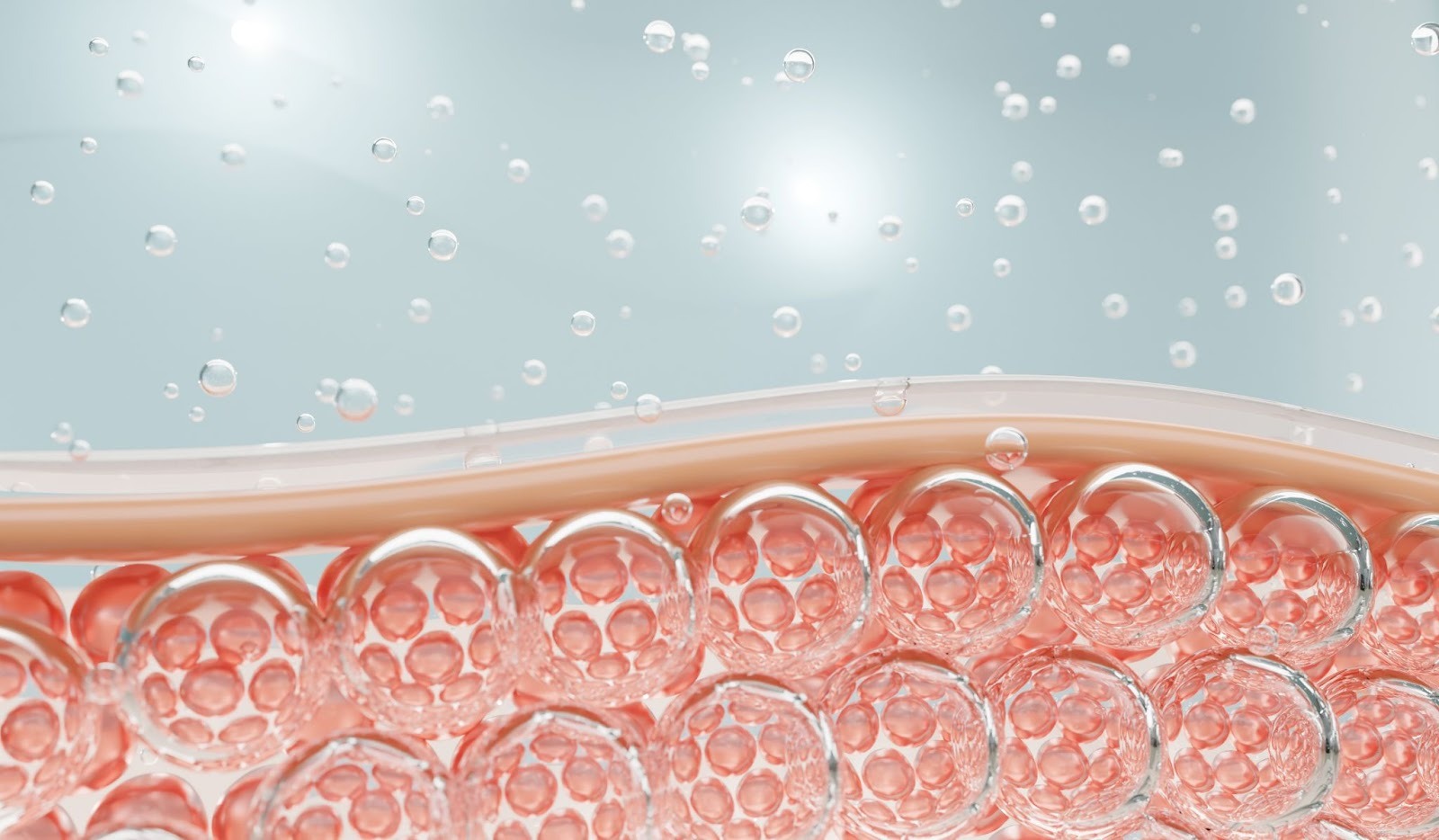 ヒアルロン酸のイメージ画像